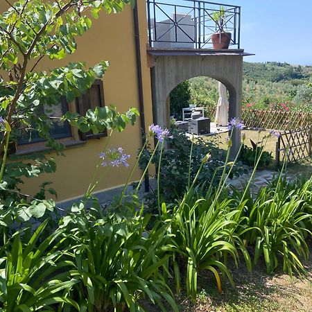 Villa Antonella カステッリーナ・マリッティマ エクステリア 写真