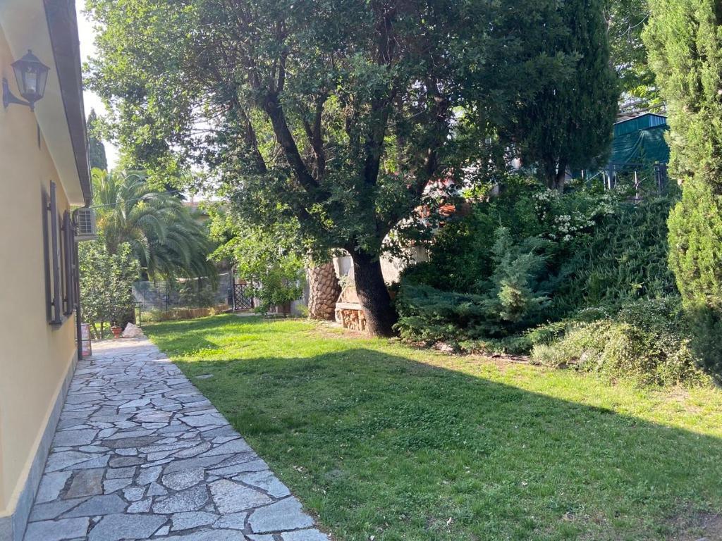 Villa Antonella カステッリーナ・マリッティマ エクステリア 写真