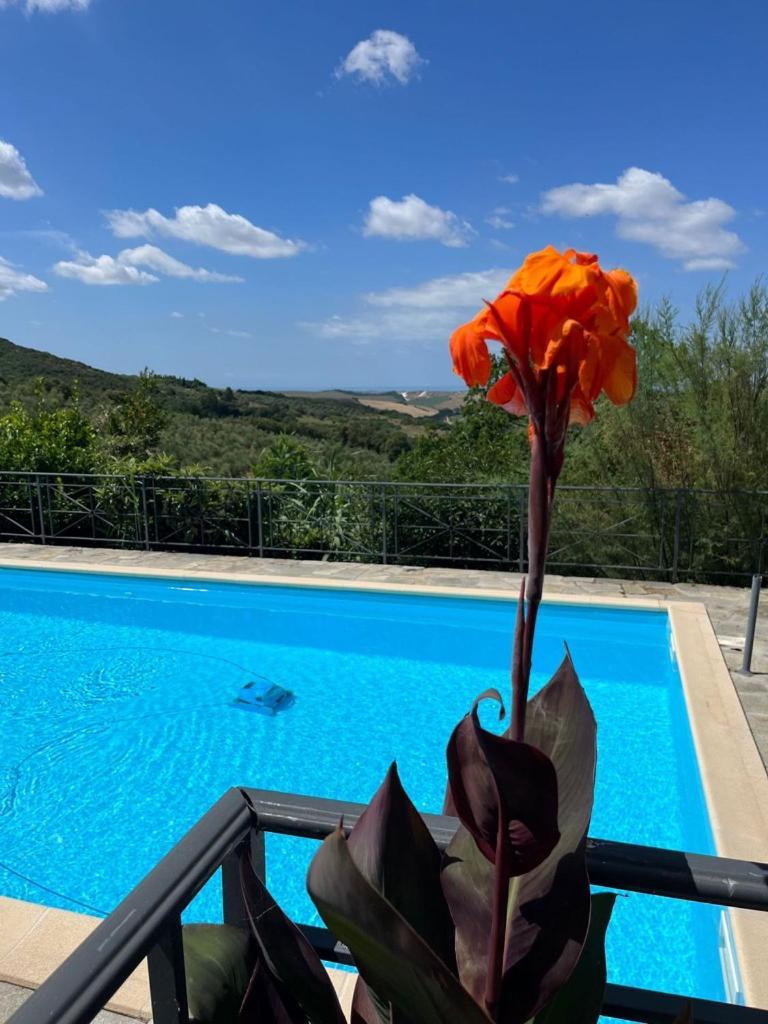 Villa Antonella カステッリーナ・マリッティマ エクステリア 写真